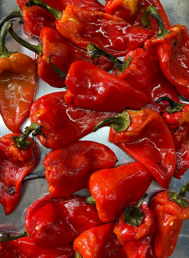 Pimientos rojos, producto de estación